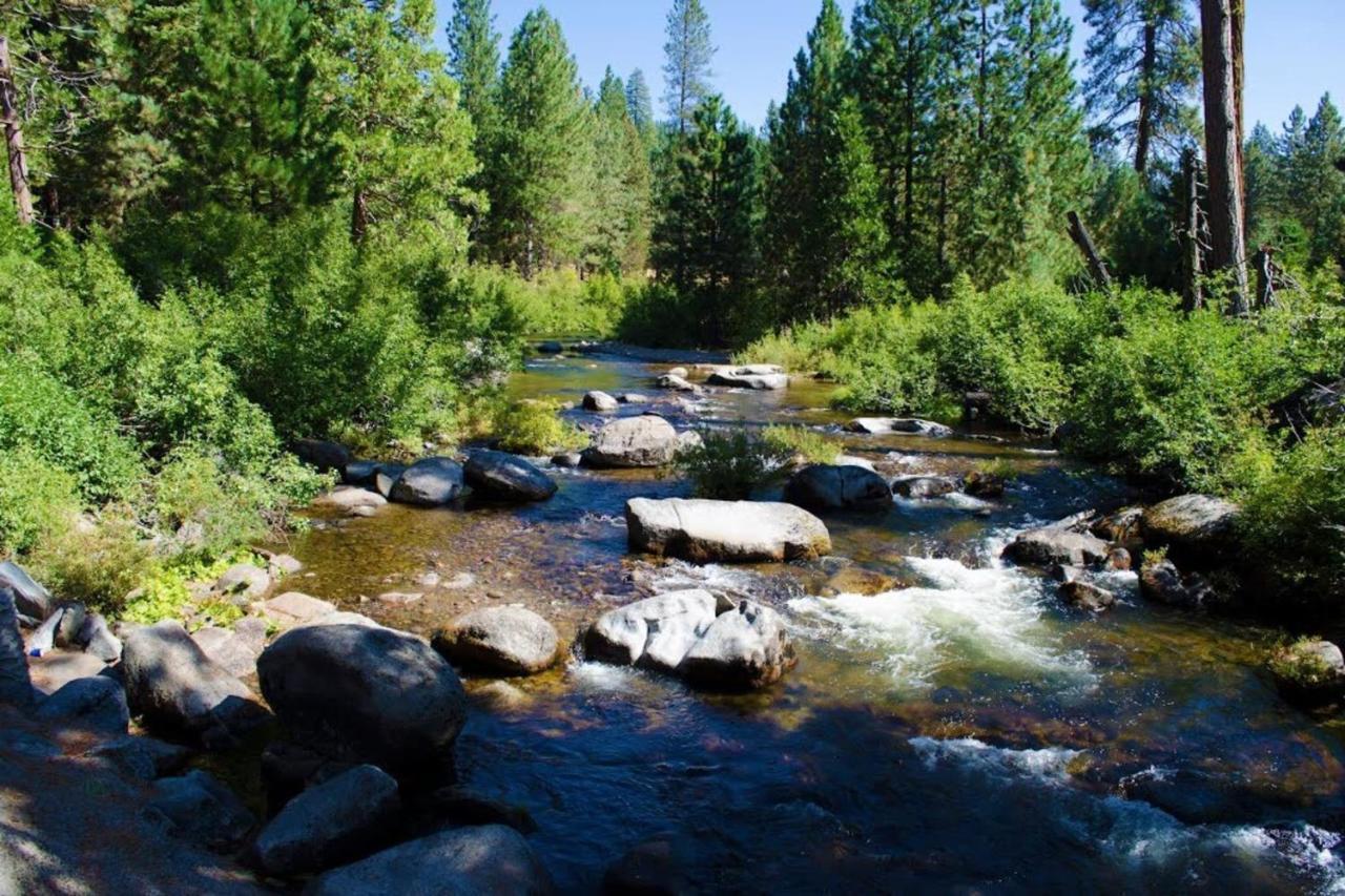 Вилла Beautiful Cabingated Parkpinecrest & Dodge Ridge Long Barn Экстерьер фото
